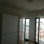 Luci * Хвар